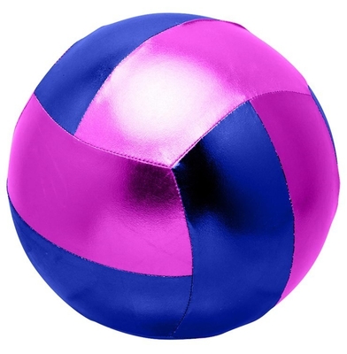 FM-F-002 5 Bola de voleibol jugando con paneles múltiples