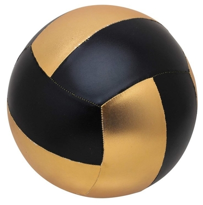 FM-F-002 5 Bola de voleibol jugando con paneles múltiples